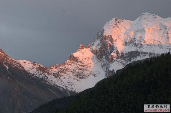 DSC_7104.jpg