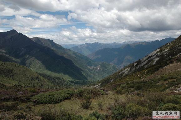 DSC_7276.JPG