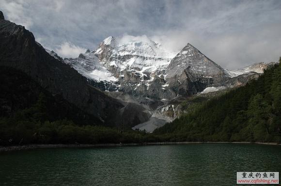 DSC_7204.JPG