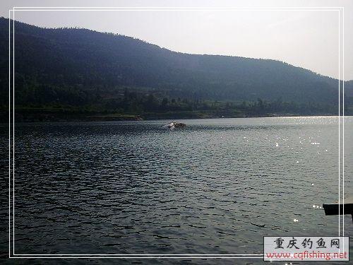 20090605068.jpg