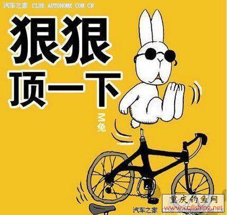 500_94d336d0-ed71-4d92-b792-09f87a90b96f.jpg