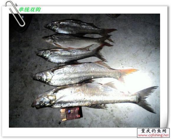 20090809_b6d9af4ae8803bae566apgBOWJdA83wD.jpg