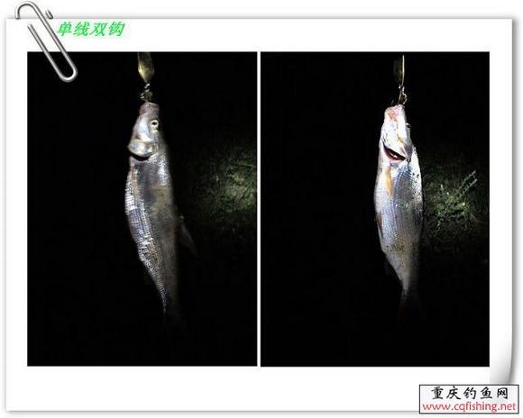 20090809_6fc9f45d963d3142b3b1NWyDLJI4PGD2.jpg
