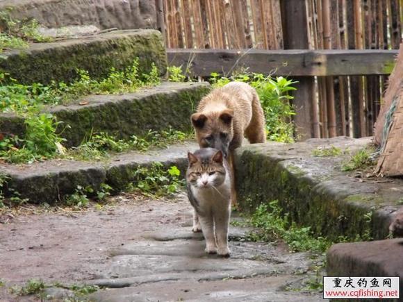 20090901_47f0604b367b296ccc438phtfSaYRFsi.jpg