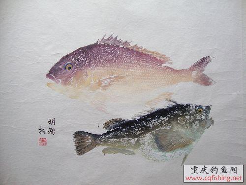 DSC00868.JPG