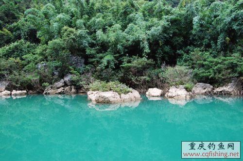 DSC_0478_conew2.jpg
