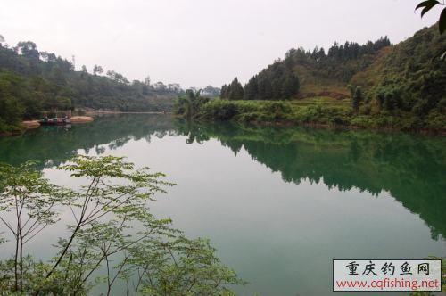 DSC_0470_conew2.jpg