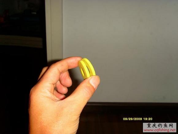 Ƭ2009 051.jpg