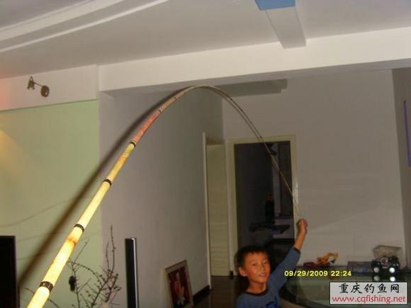 Ƭ2009 056.jpg