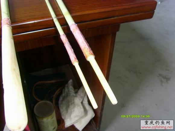 Ƭ2009 034.jpg