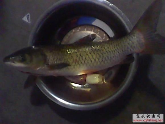 200911190559150.jpg