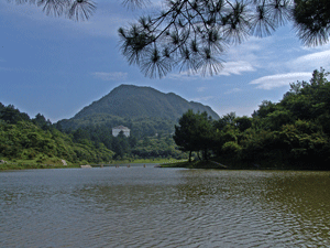 DSC01005.gif