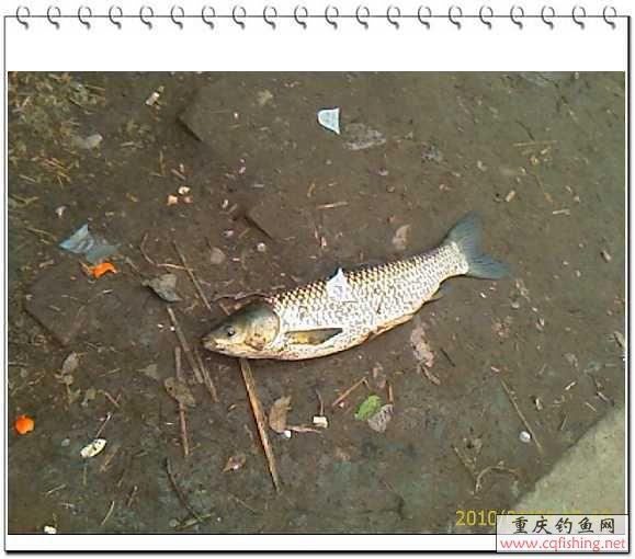 IMAG0561.jpg