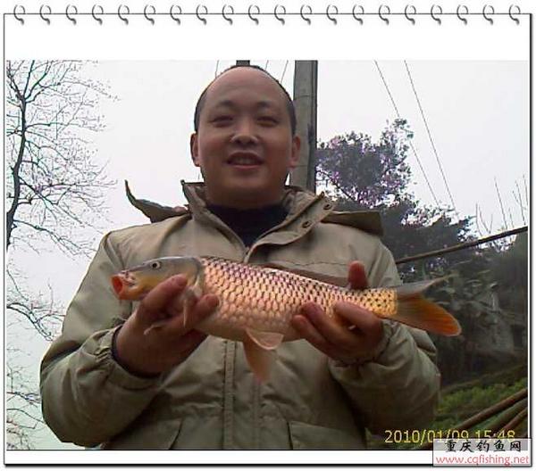 IMAG0559.jpg