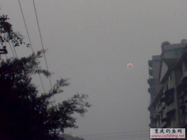 20100115260.jpg