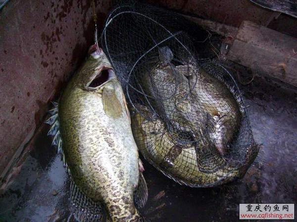 0904272108cf3c6a6834552e15[1].jpg