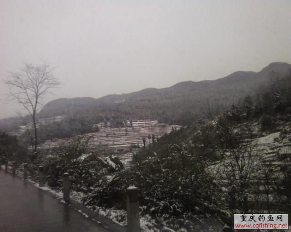 SP_A0831.jpg