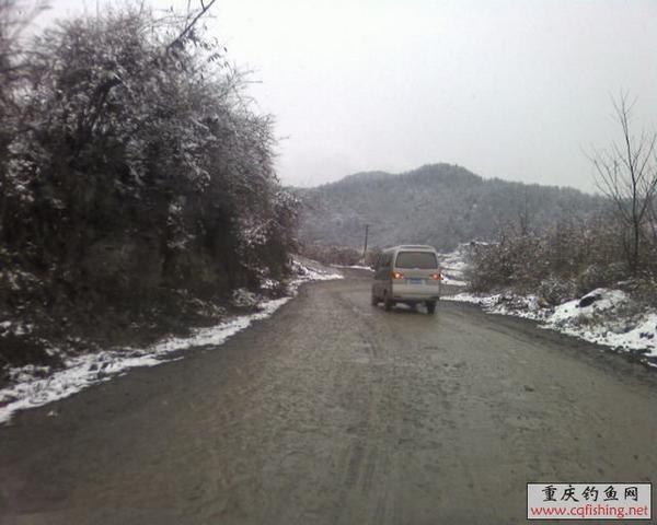 SP_A0843.jpg