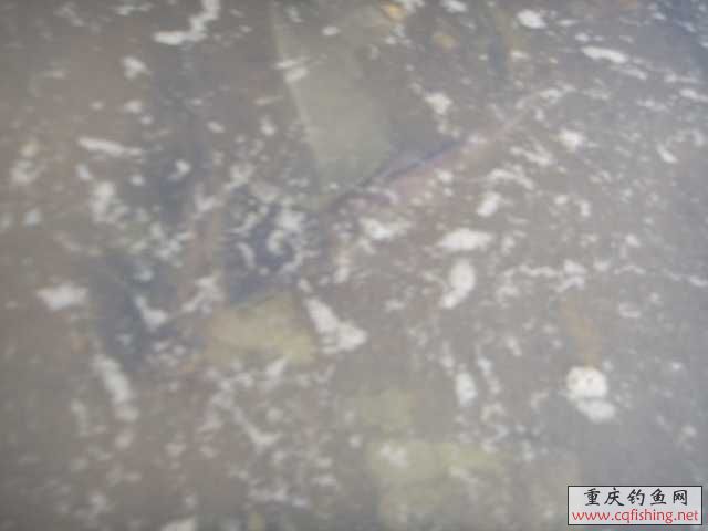 SSL10313.JPG