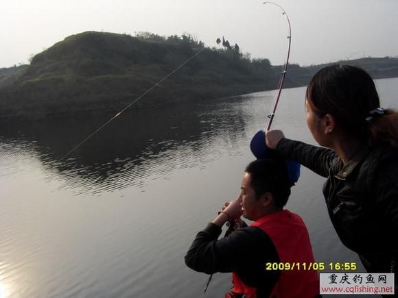SDC10054.JPG