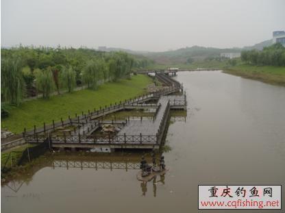62435578e44c.jpg