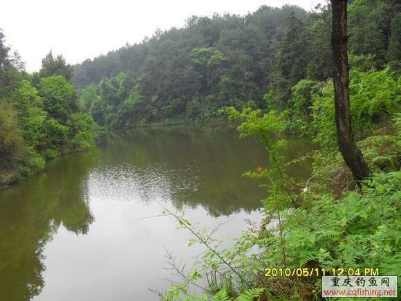 SDC14300.JPG