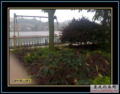 Ƭ785_0515.1.jpg