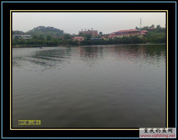 Ƭ800_0515.1.jpg