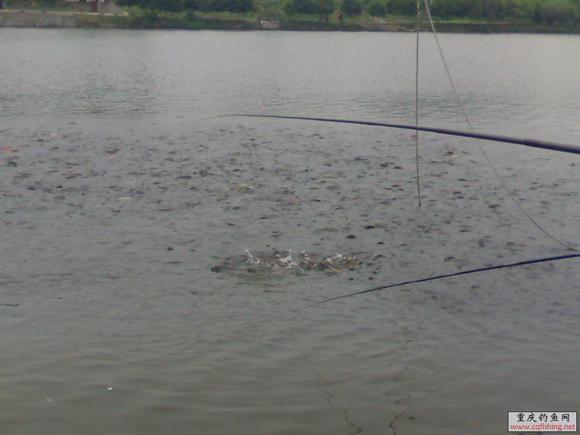Ƭ797_0515.jpg
