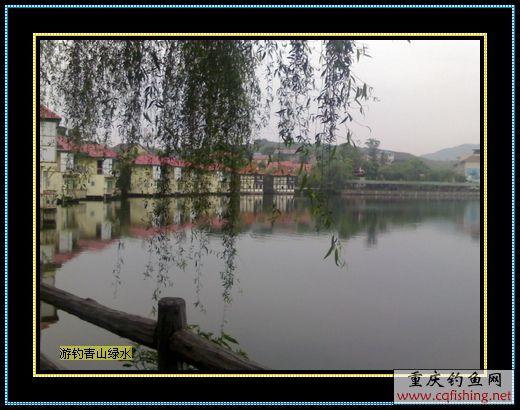 Ƭ813_0516.1.jpg