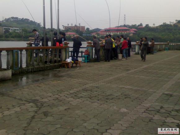 Ƭ796_0515.jpg