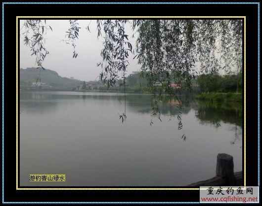Ƭ814_0516.1.jpg