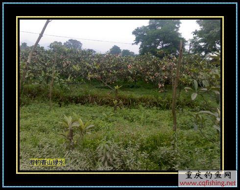 Ƭ853_0518.1.jpg