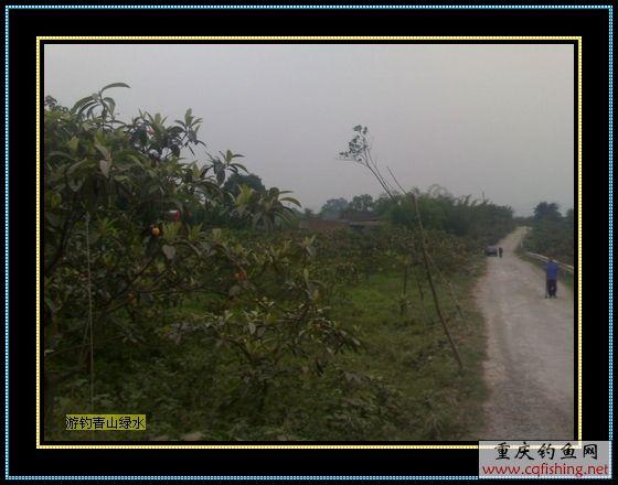 Ƭ849_0518.1.jpg