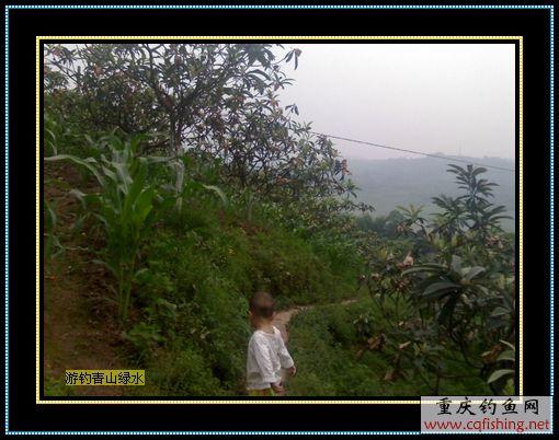 Ƭ857_0518.2.jpg