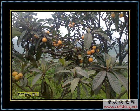 Ƭ858_0518.1.jpg