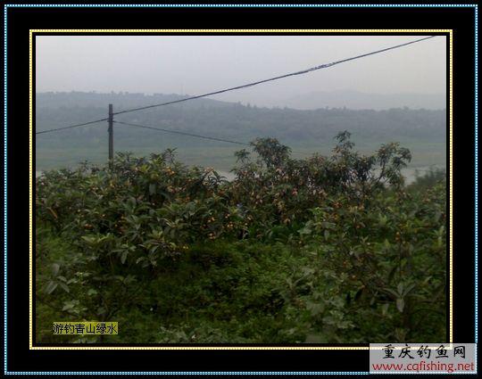 Ƭ852_0518.1.jpg