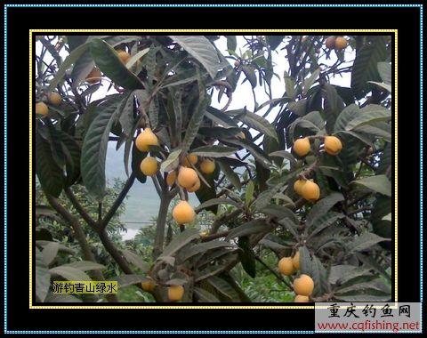 Ƭ859_0518.1.jpg