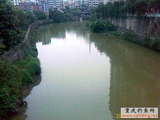 IMAGE_596.jpg