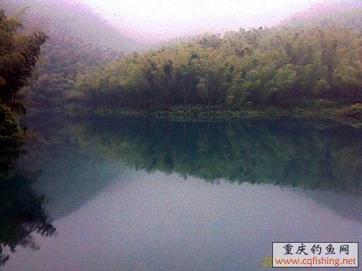 IMAGE_718.jpg