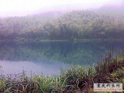 IMAGE_686.jpg
