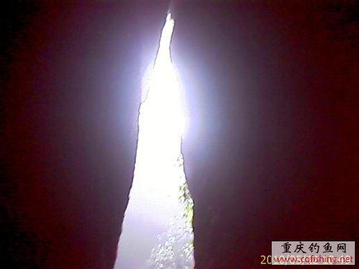 IMAGE_659.jpg