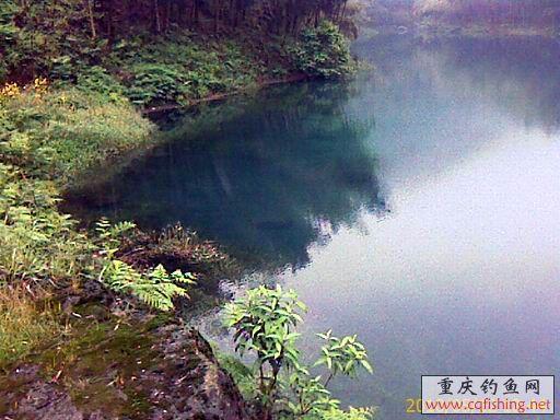 IMAGE_689.jpg