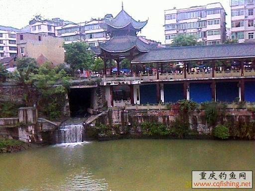 IMAGE_601.jpg