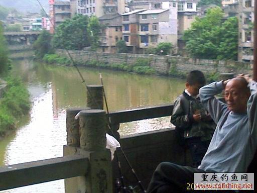 IMAGE_594.jpg