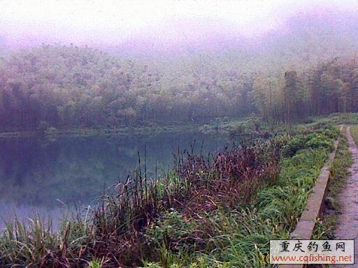IMAGE_687.jpg