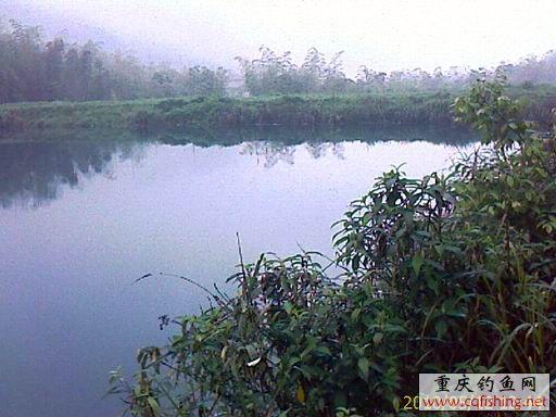 IMAGE_690.jpg