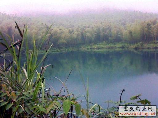 IMAGE_702.jpg