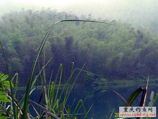 IMAGE_713.jpg