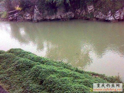 IMAGE_742.jpg